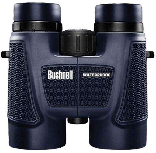 Bushnell_Roof_Prism_Binocular-removebg-preview Bushnell_Roof_Prism_Binocular-removebg-preview