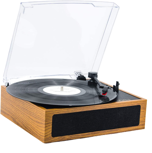 LP_No-removebg-preview LP_No-removebg-preview