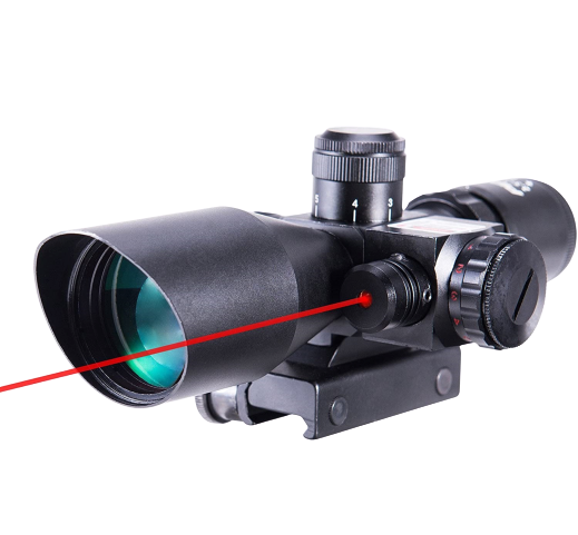 Pinty_2-removebg-preview Pinty_2-removebg-preview