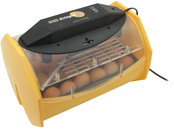 Brinsea_Products_Manual_Egg_Incubator-removebg-preview TUFT___NEEDLE_10-Inch_Original_Mattress-removebg-preview