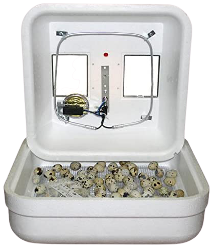 GQF_Thermal_Air_Hova-Bator-removebg-preview Linenspa_5_Inch_Gel_Memory_Mattress__Twin-removebg-preview