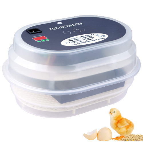 HBLife_Digital_Automatic_Egg_Incubator-removebg-preview Molblly 6-Inch Gel Memory Foam Mattress