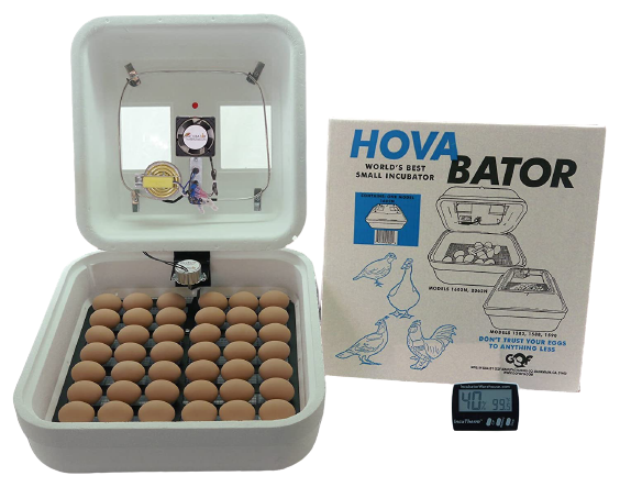 Hova-Bator_Advanced_Incubator_Combo_kit-removebg-preview Linenspa_6-inch_Innerspring_Mattress-removebg-preview