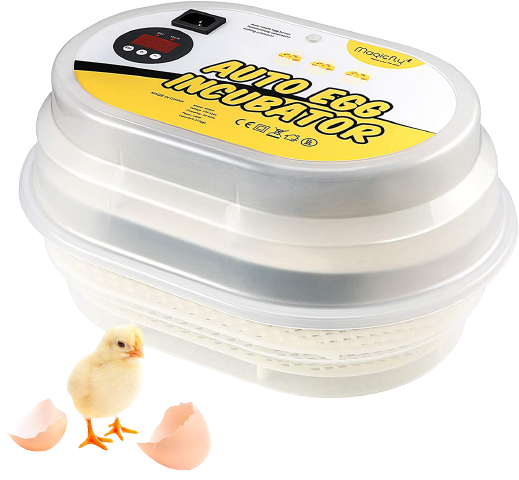 Magicfly_Digital_Automatic_Incubator_for_chicken-removebg-preview AMERISLEEP_AS2_Memory_Foam_Mattress_-_Twin-removebg-preview